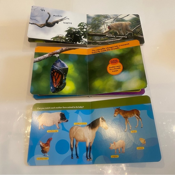 Bundle of 7 Baby Toddler Animal Books - Picture 8 of 14